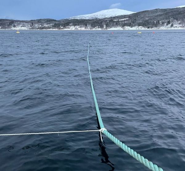 В Норвегии появится первая аквакультурная ферма по выращиванию лосося и водорослей